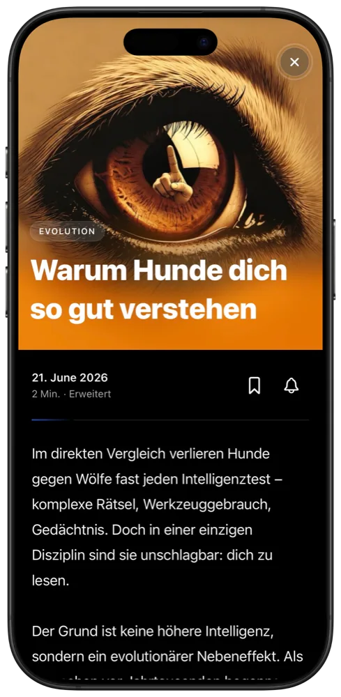 Story des Tages in der Nutshell-Stories-App: „Warum Hunde dich so gut verstehen“